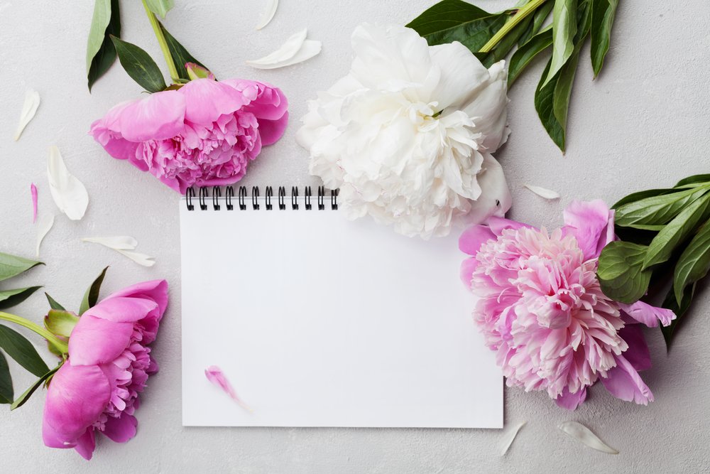 Pink and White Flowers, Blank Notebook.jpg