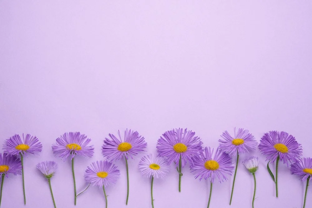 Purple Flowers on Purple Background.jpg