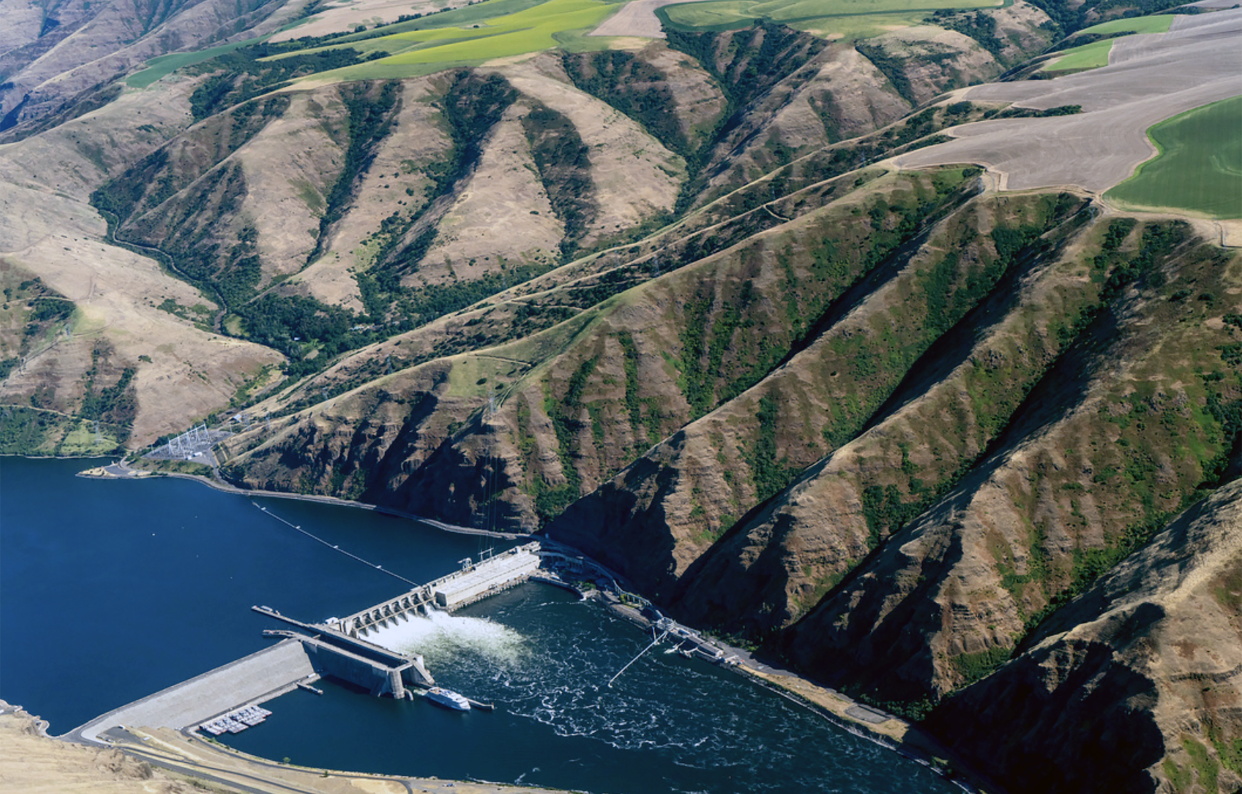 Free Flow – Protect and Restore our Rivers for better Fish Migration 