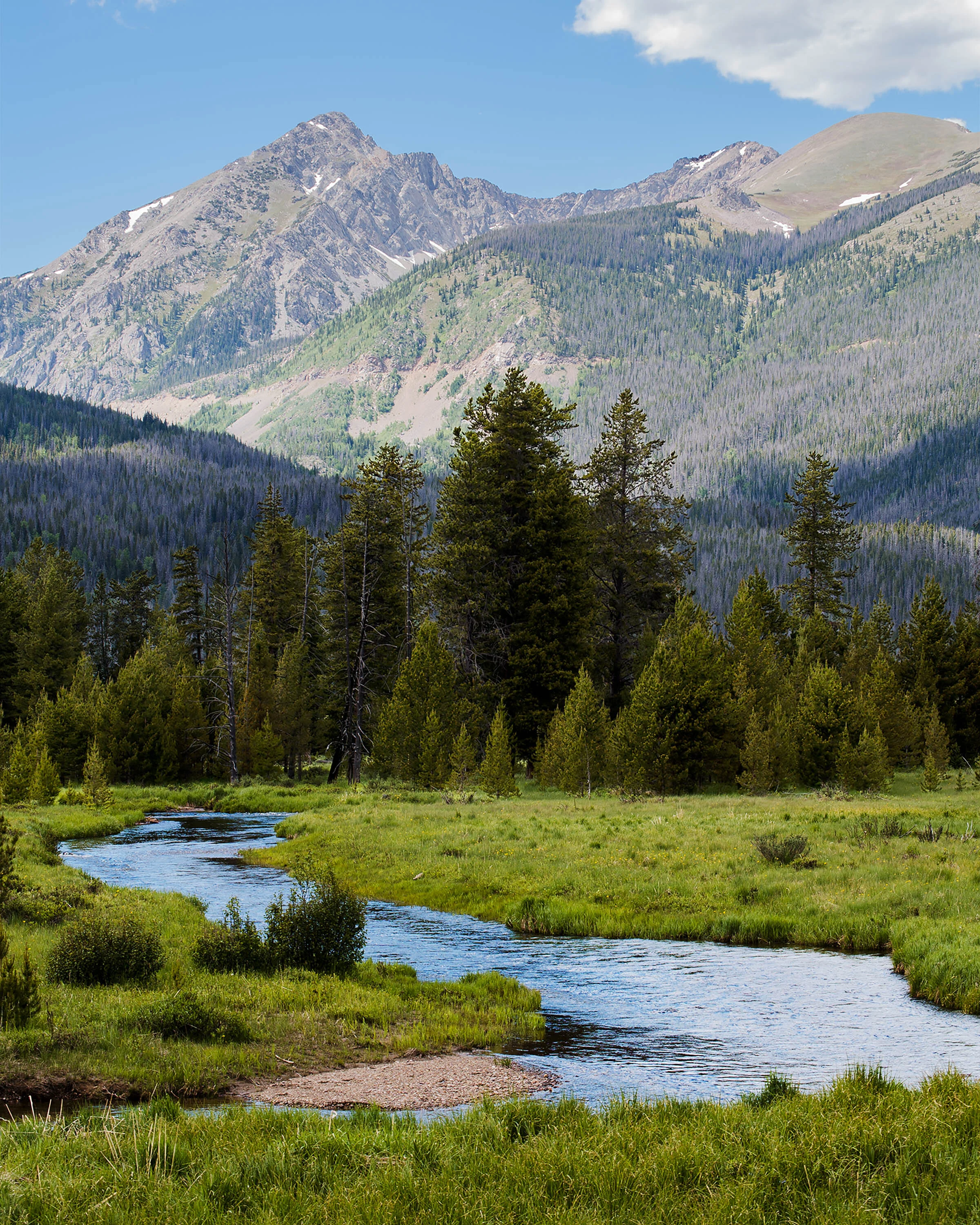 Rocky Mountain Stream 8x10.jpg
