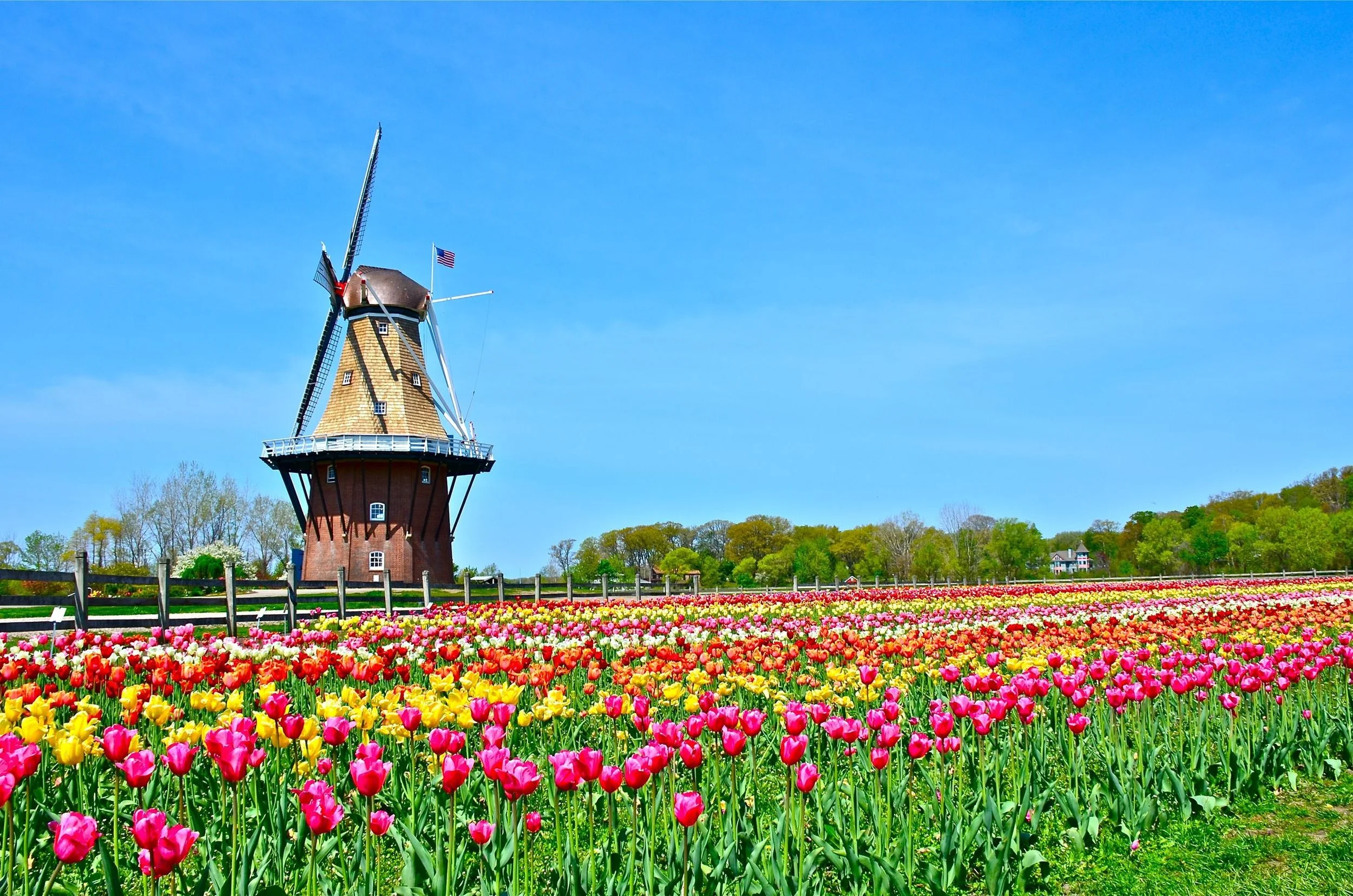 Valpo Parks Day Trip | A Dutch Day in Holland