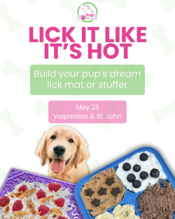 Hungry Hound Presents | Lick It Like It's Hot
