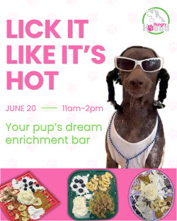 Hungry Hound Presents | Lick It Like It's Hot