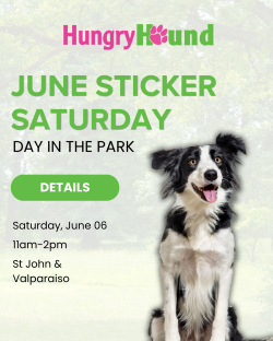 Hungry Hound Presents Sticker Saturday | A Day in the Park