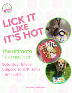 Hungry Hound Presents | Lick It Like It's Hot - Dog Lick Mat Event
