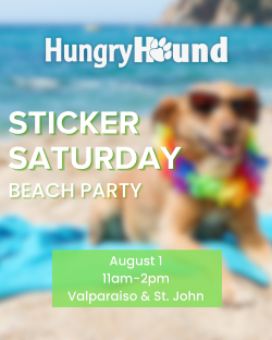 Hungry Hound Presents | Sticker Saturday Beach Party