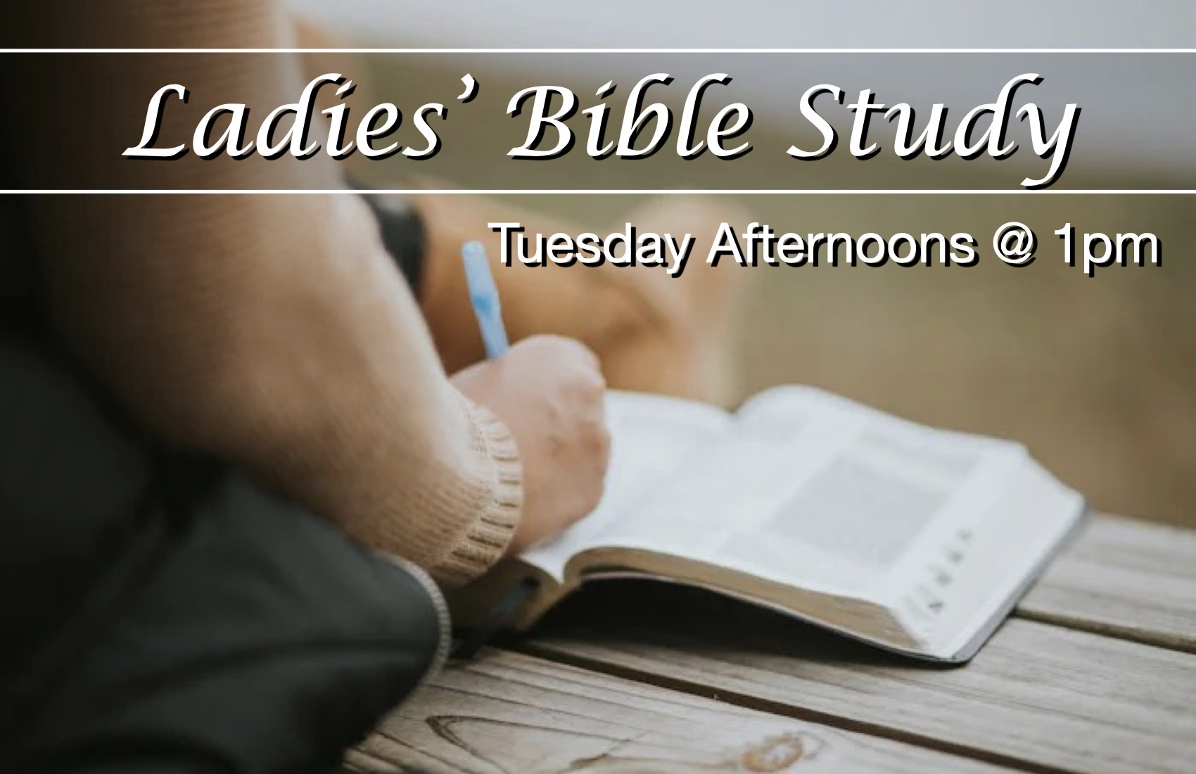 Ladies Bible Study