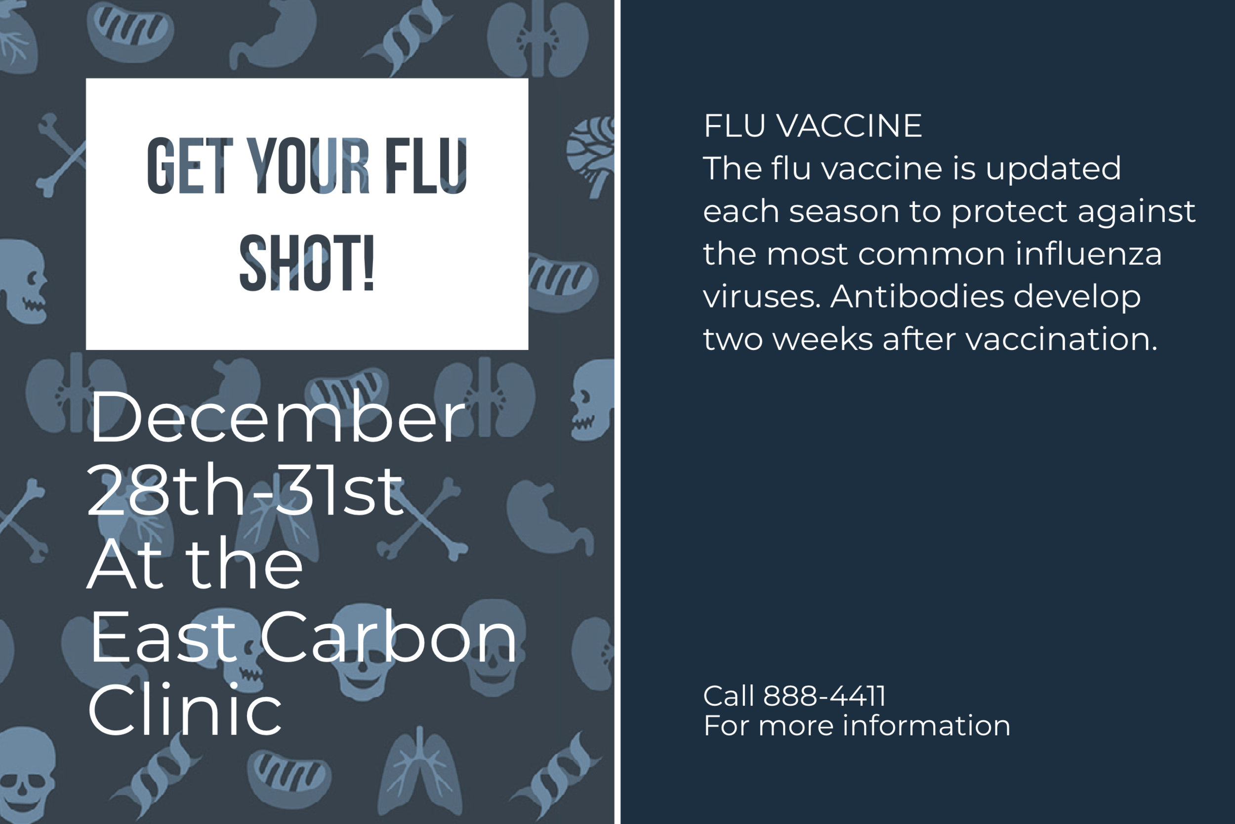 Flu Clinic