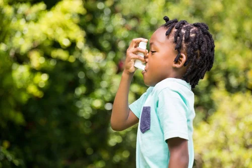 Vitamin D3 changes the immune response at a cellular level
