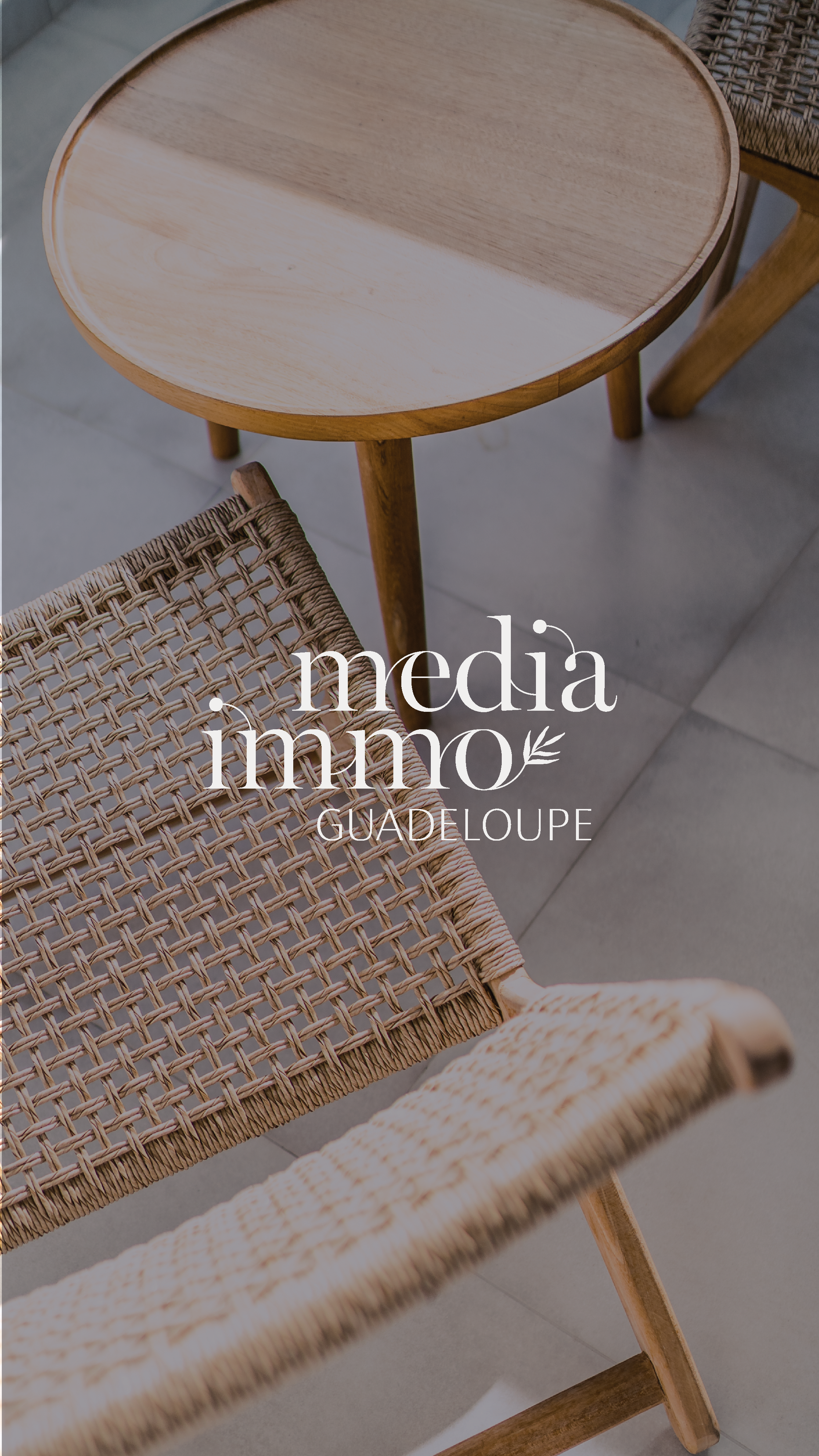 media immo guadeloupe - création de logo