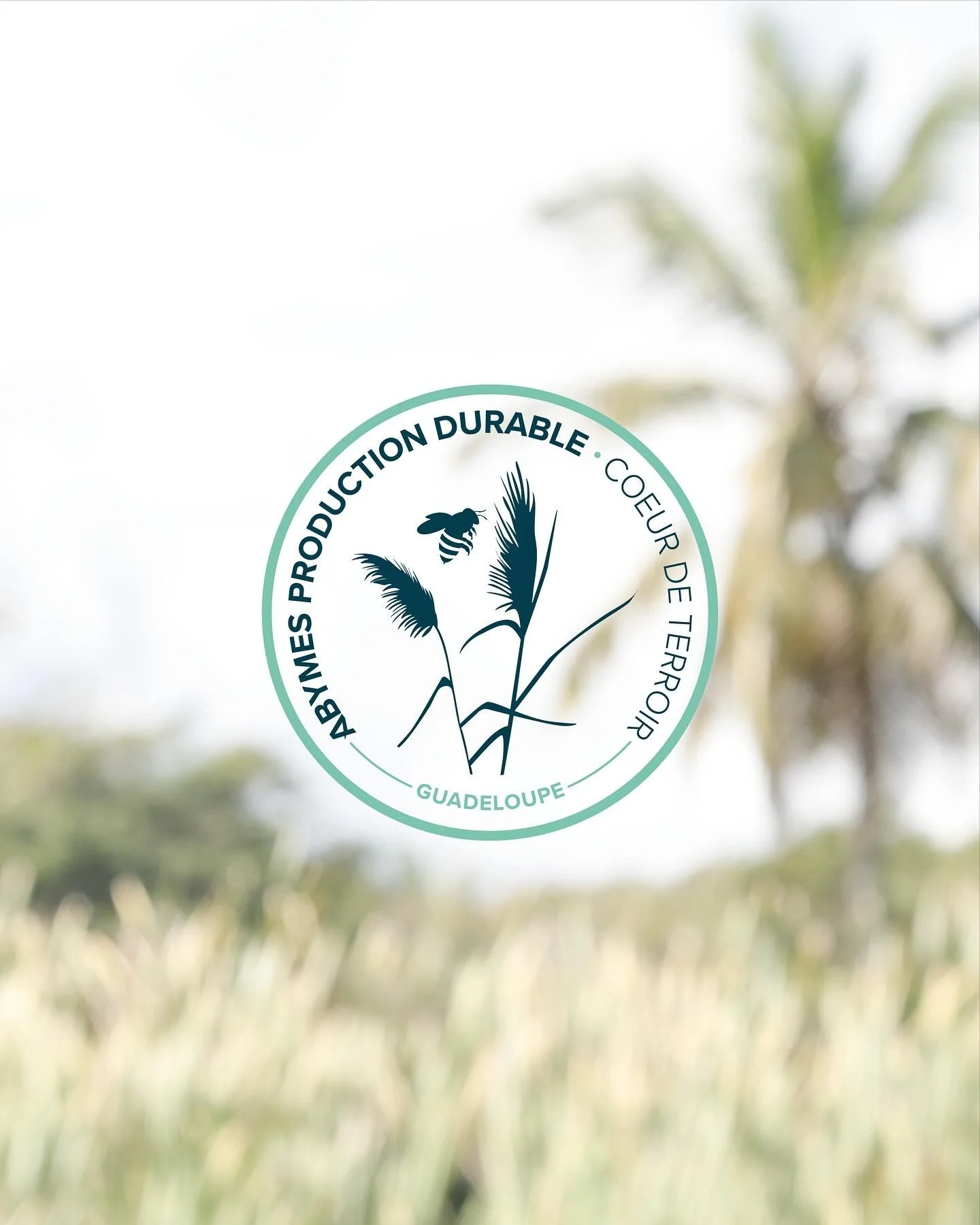 Il y a tout pile un an, la ville des Abymes en Guadeloupe a mis &agrave; l&rsquo;honneur ses producteurs et agro-transformateurs engag&eacute;s dans une production durable, &agrave; Paris, lors du salon de l&rsquo;Agriculture 🌱 

Voici un aper&ccedi