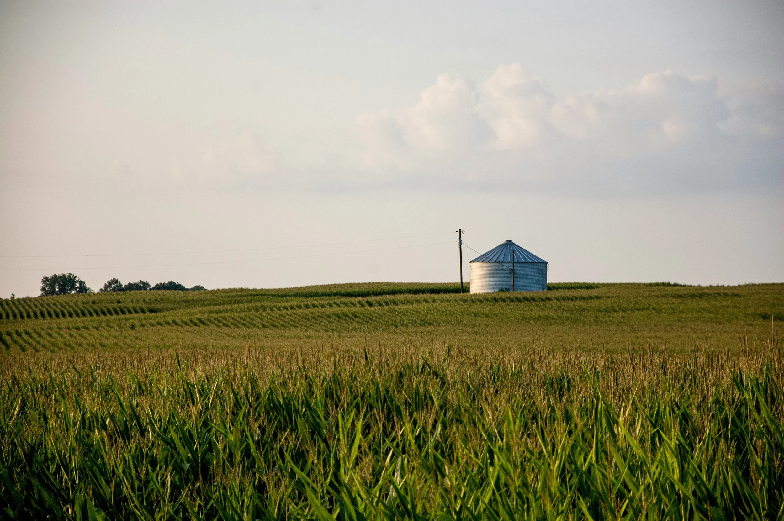joshua-michaels-CD1CT8nDkJk-unsplash.jpg