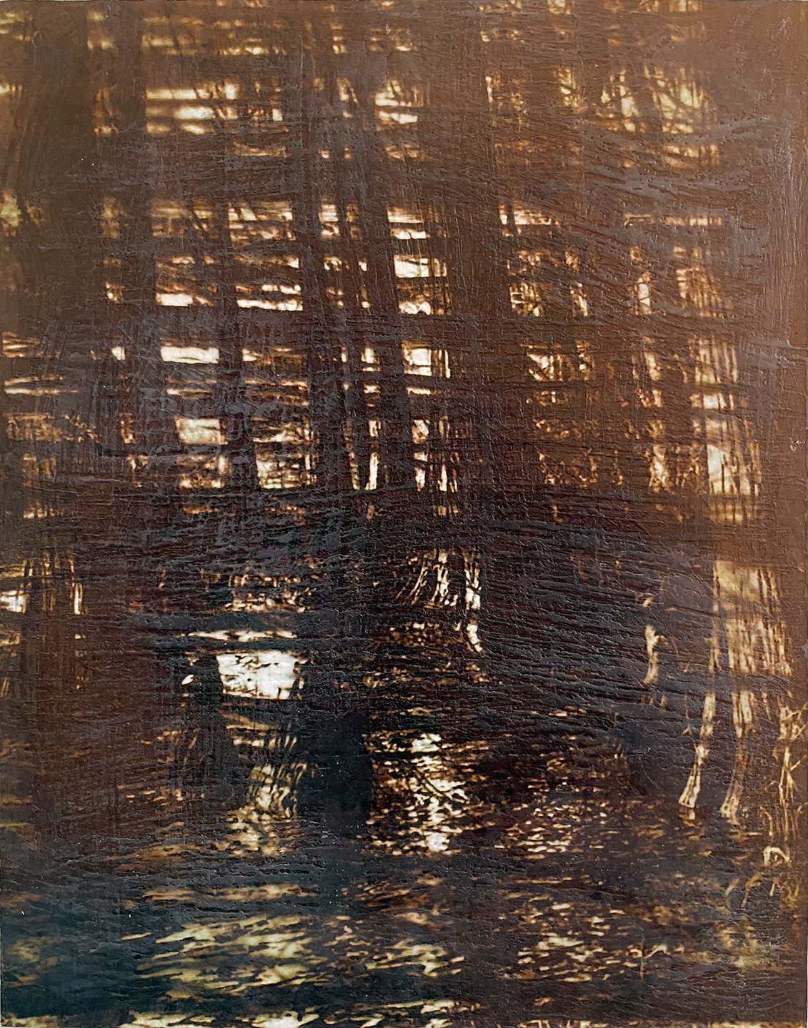  Cypress pond, encaustic, rust  and archival pigment print mounted on panel, h 11 by  w 14 inches, 2021 
