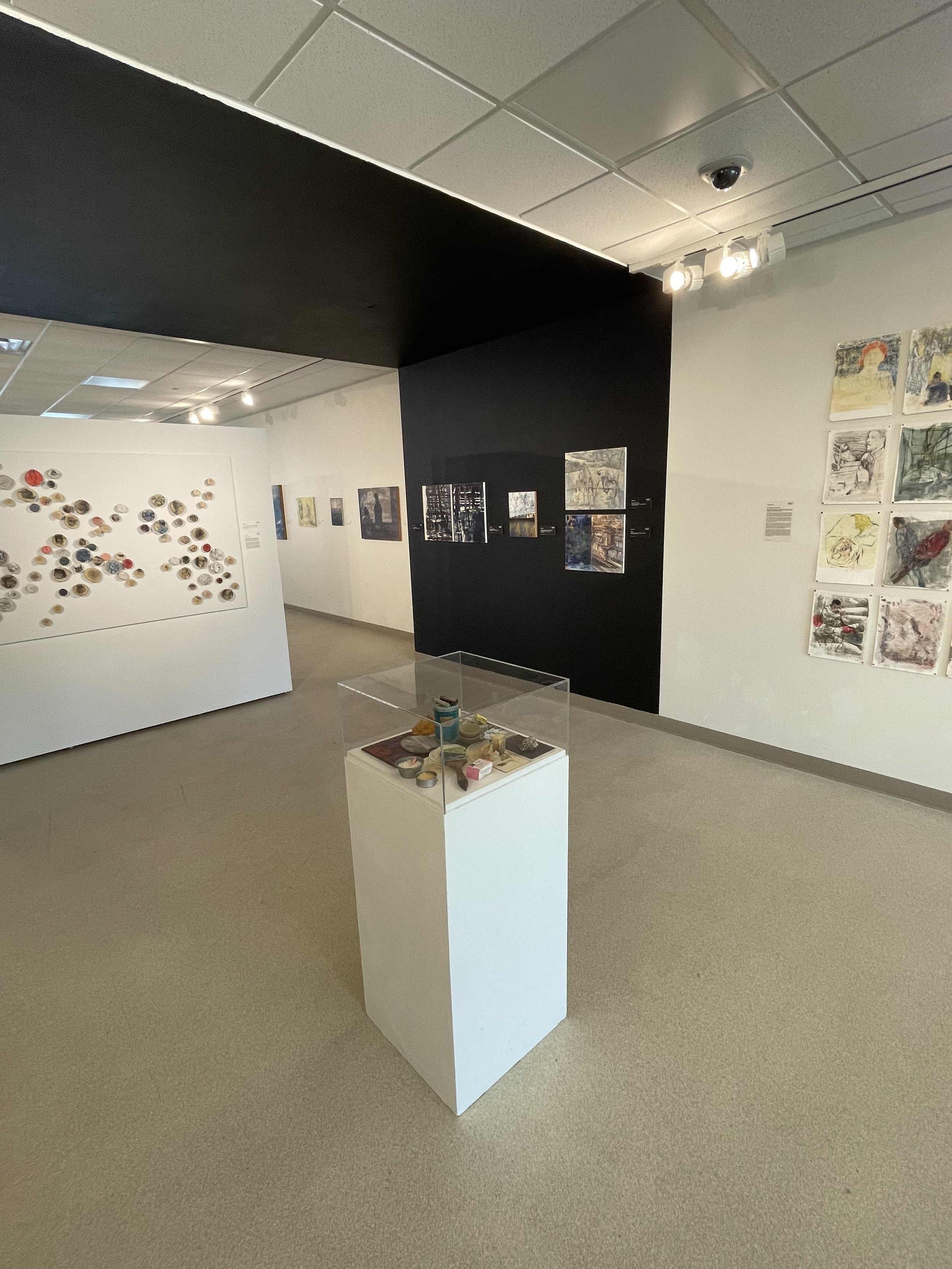  installation view, IAC Troy, west gallery  