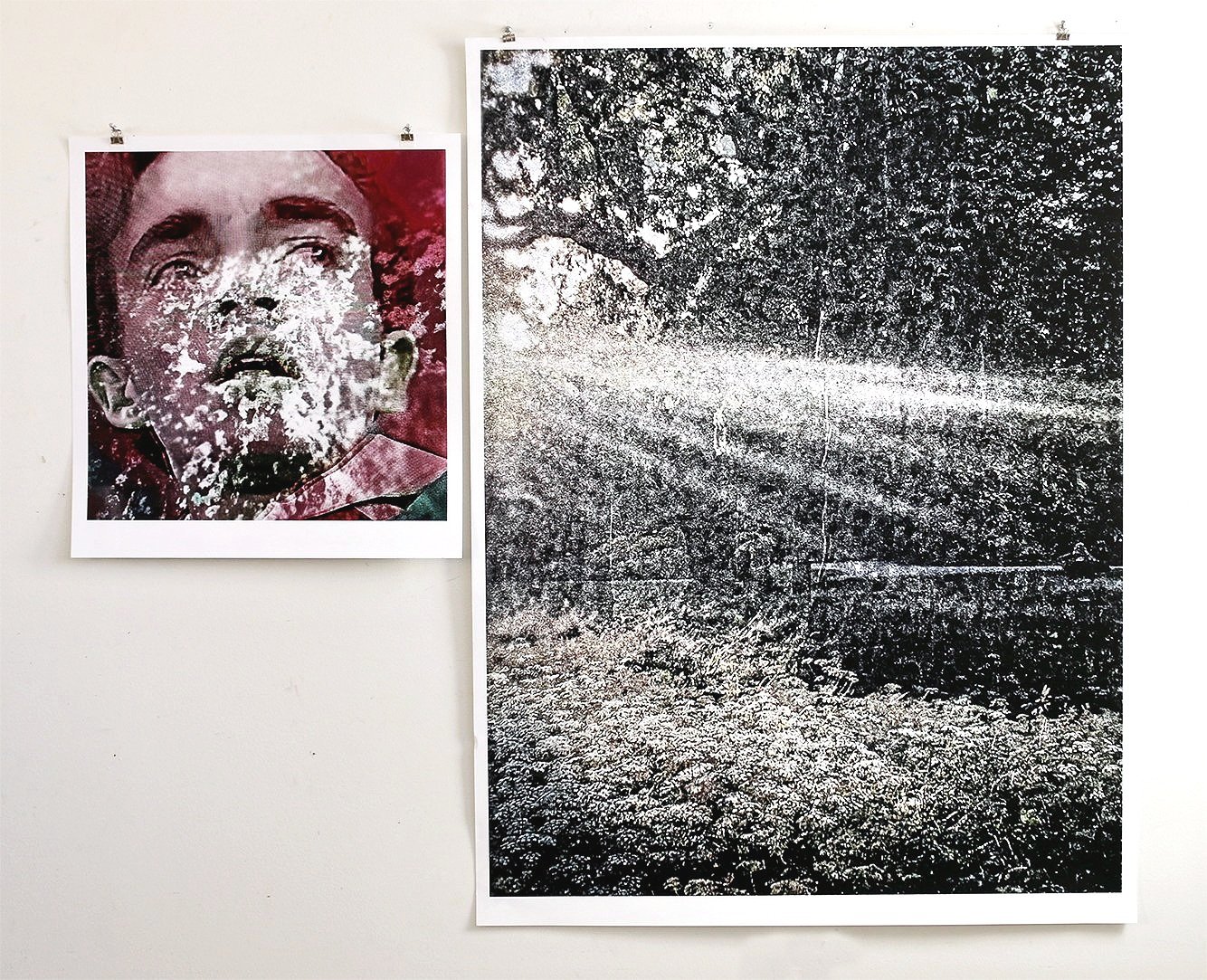  Poison hemlocks, 2023, diptych, archival pigment print and wax with traces of watercolor 