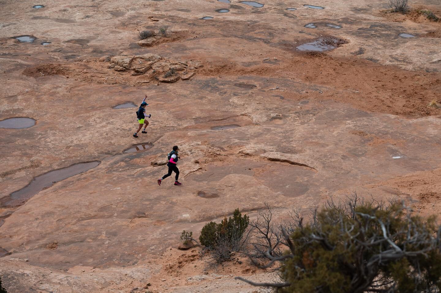 At TRR races we love and accept ALL participants&hellip;

Especially the bacons, unicorns, dinosaurs, and drunk horses of the world. We&rsquo;re damn lucky to have them all 🫶

#stagerace #ultras #loveislove #trails #trailracing #pride #moab