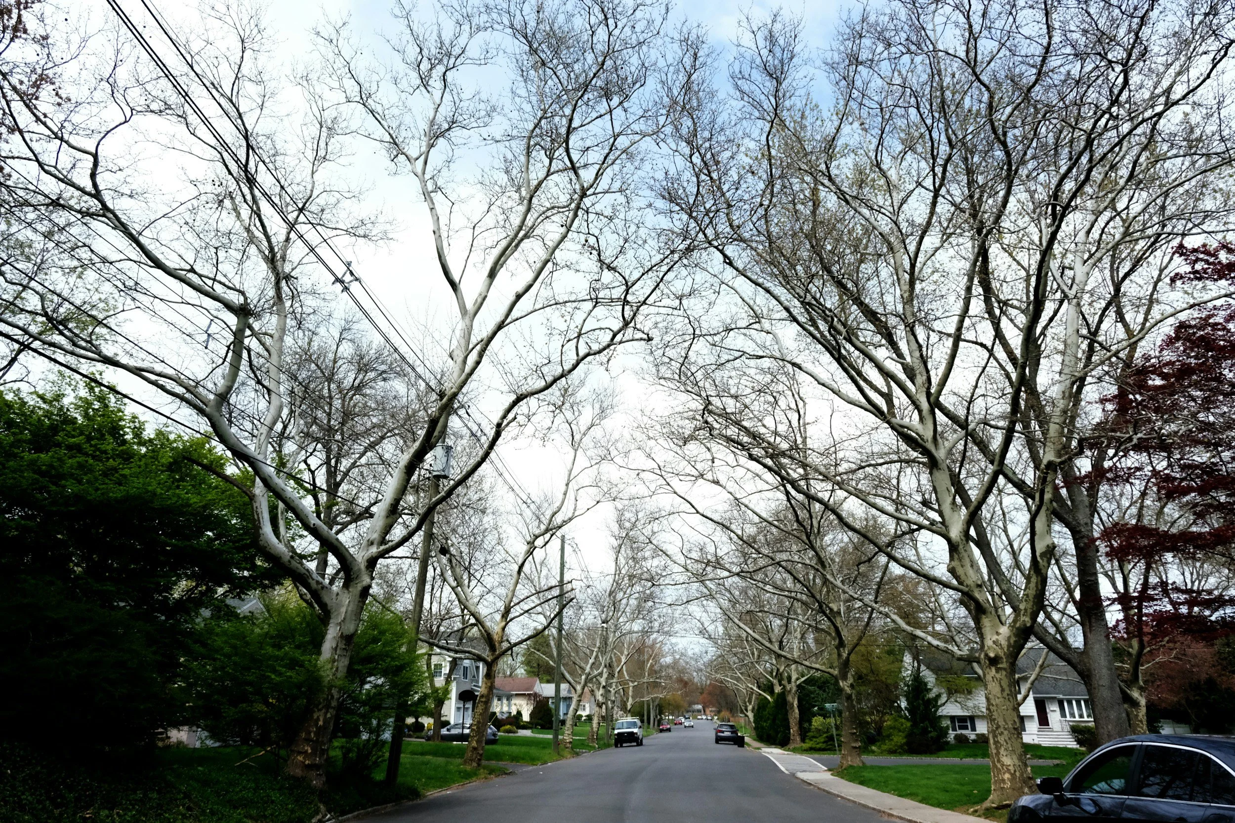 Art Therapy in Short Hills, NJ: Discover the Healing Power of Accelerated Resolution Therapy (ART)