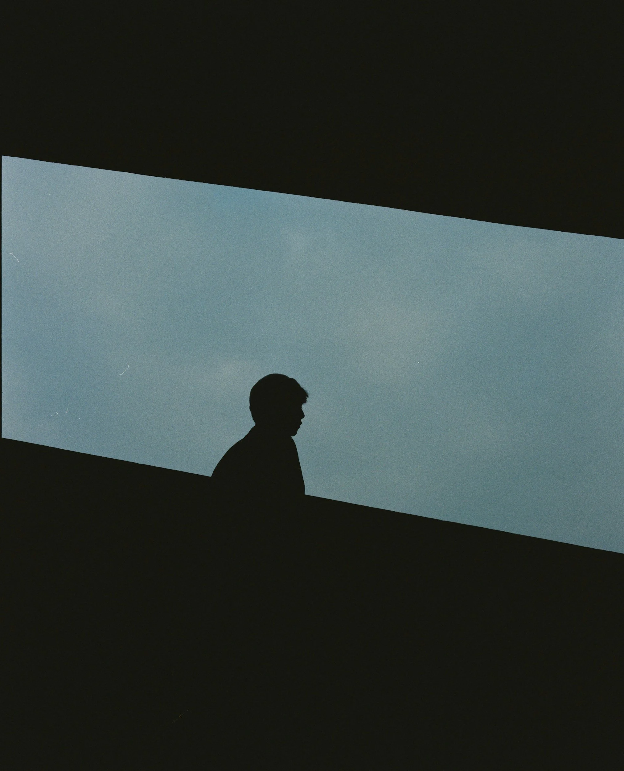 Internal Family Systems Therapy for Chronic Illness Support