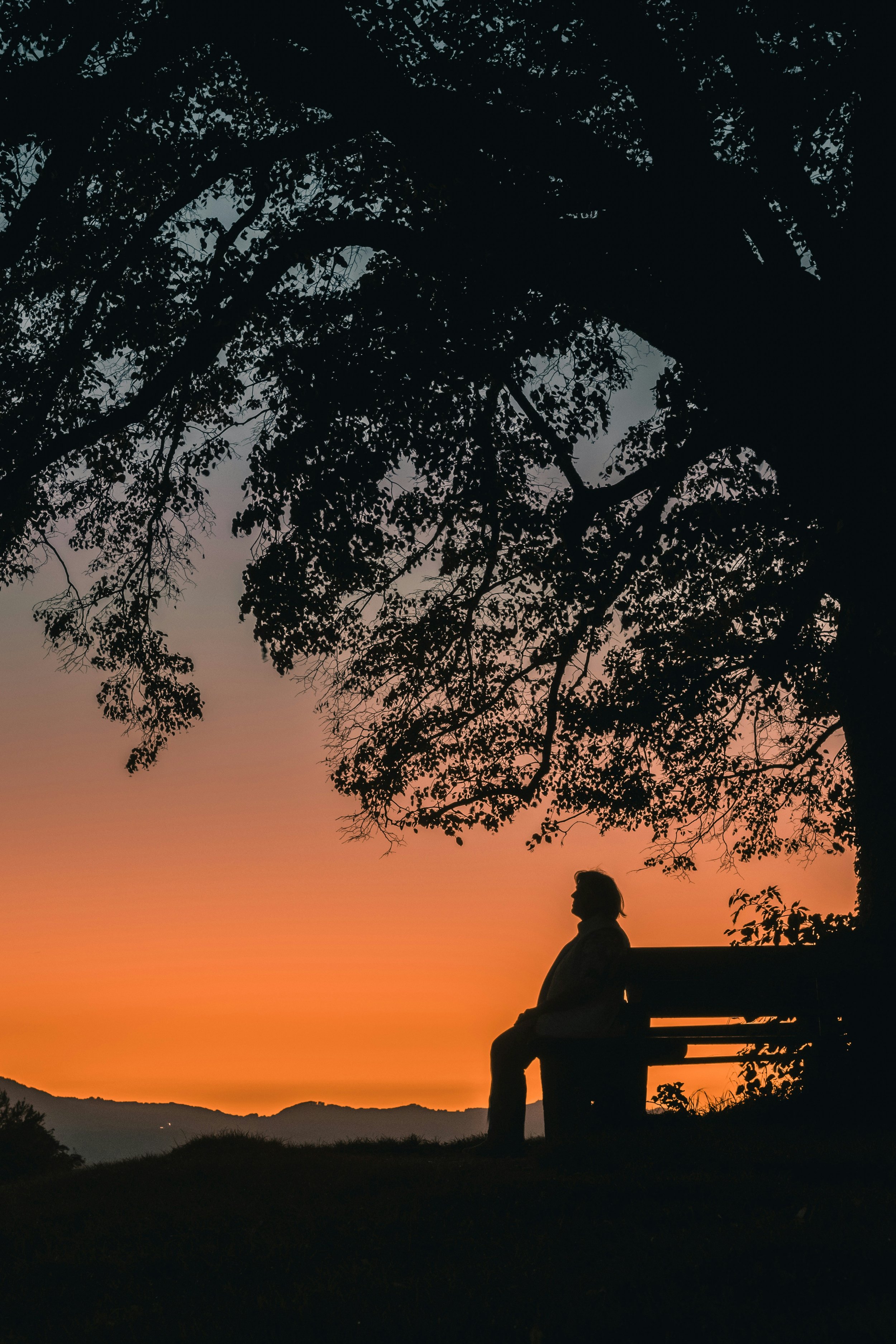 Can a Therapy Intensive Complement Weekly Therapy?