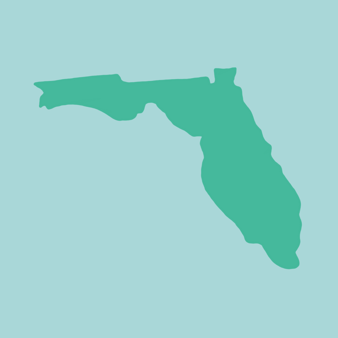 Virtual ART and IFS therapy to address addiction, anxiety, depression, grief, phobias, OCD, and more available for those in the state of Florida.