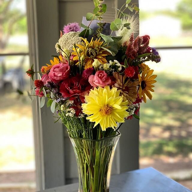 Something special for a flower 🌹 person In Llano! #fredericksburgtx #fredericksburg,Texas #tours #local grown