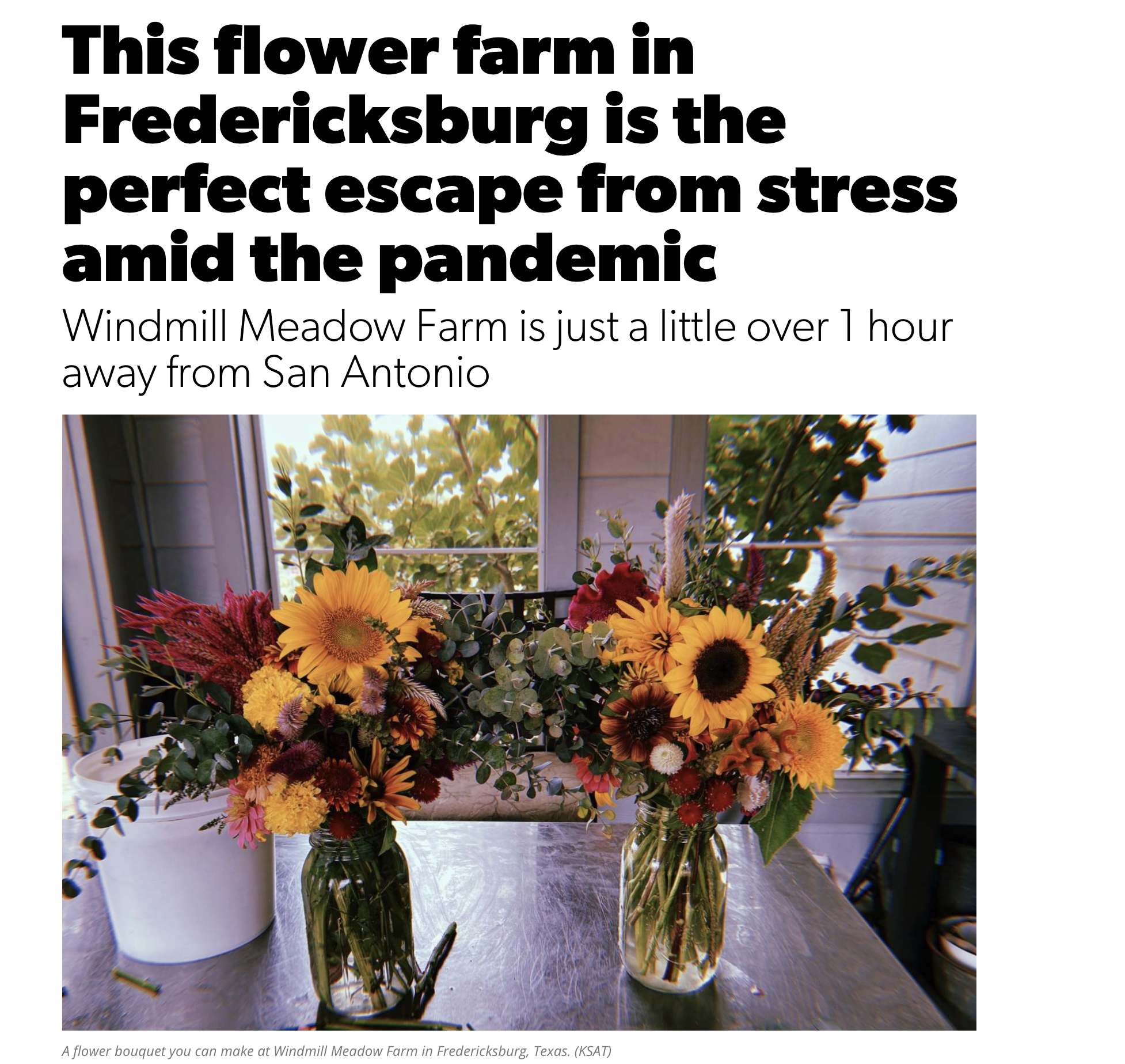 “This flower farm in Fredericksburg is the perfect escape from stress amid the pandemic”