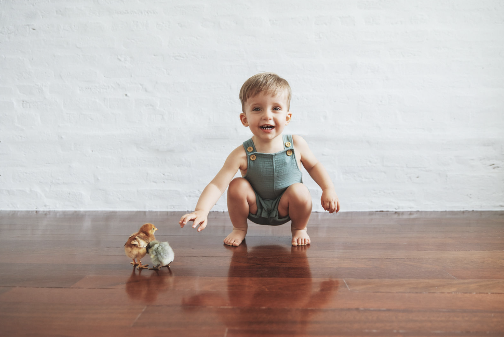 A Magical Inaugural Photo Shoot: Charming Little Guy and Fluffy Companions!