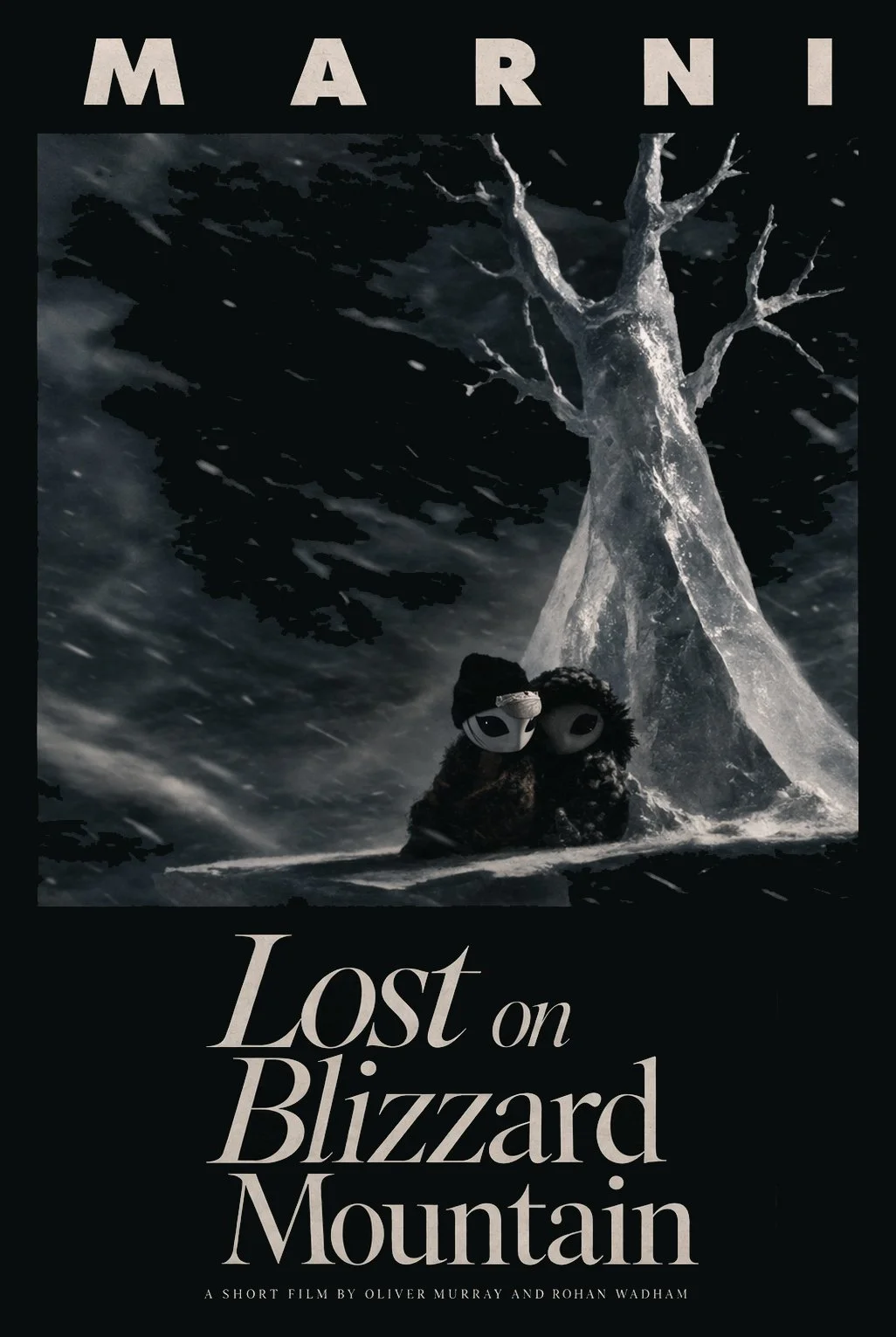 Lost On Blizzard Mountain_Poster2010.jpg
