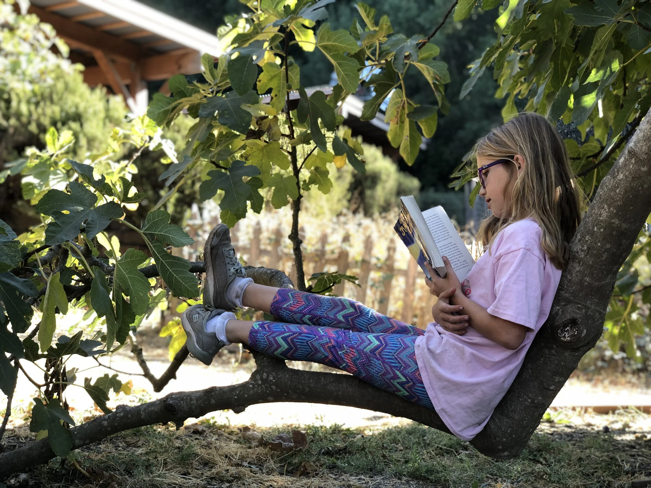 Camps — Connolly Ranch