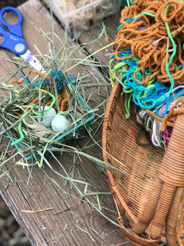 Day 2: Make Your Own Bird’s Nest