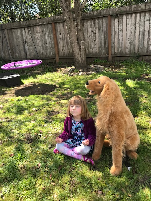 Day 4: Meditation and Sit Spot