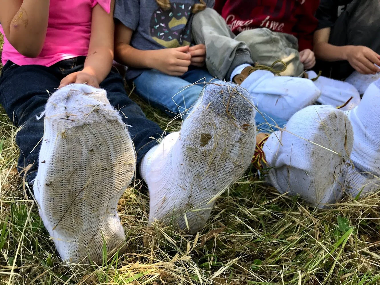 In English &amp; Spanish: Day 2: Hitchhiker Seeds