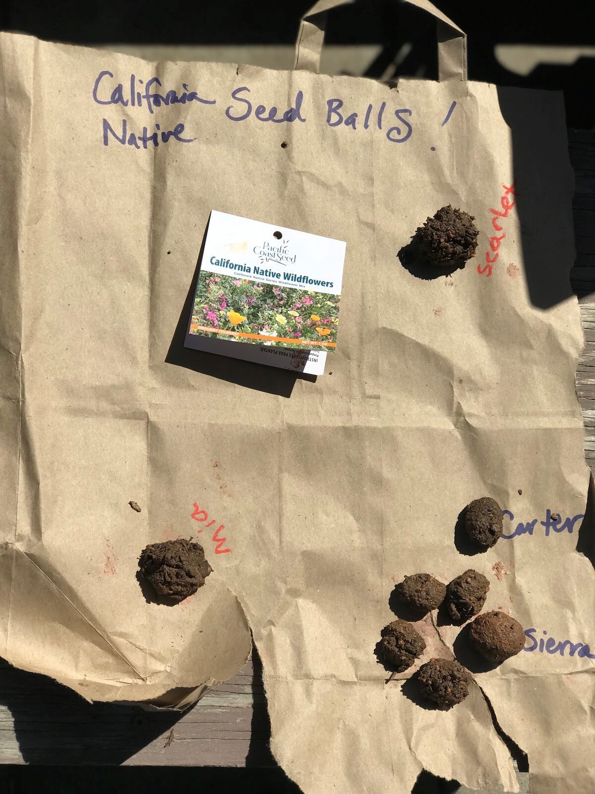 In English &amp; Spanish: Day 4: Seed Balls