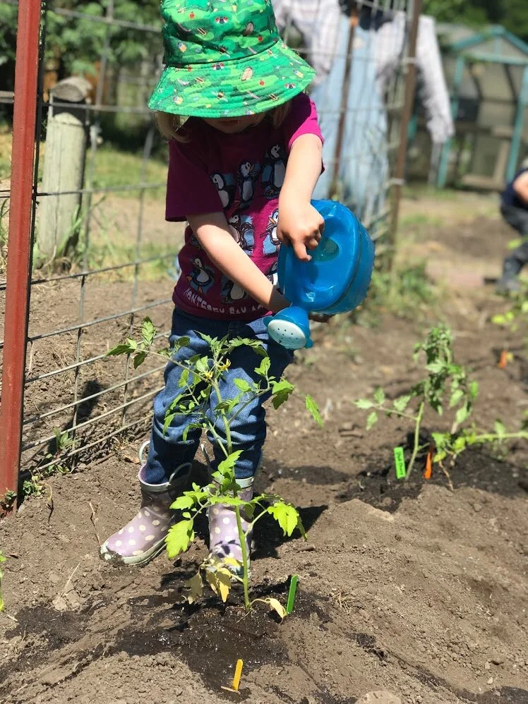 In English &amp; Spanish: Day 5: Dirt You Made My Lunch