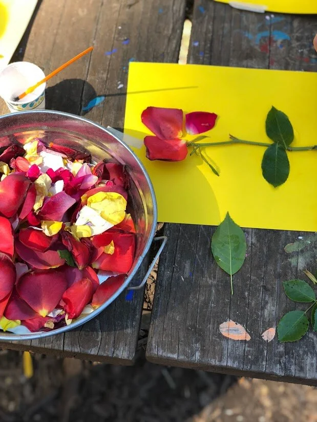 In English &amp; Spanish: Day 1: Flower Deconstruction &amp; Reconstruction