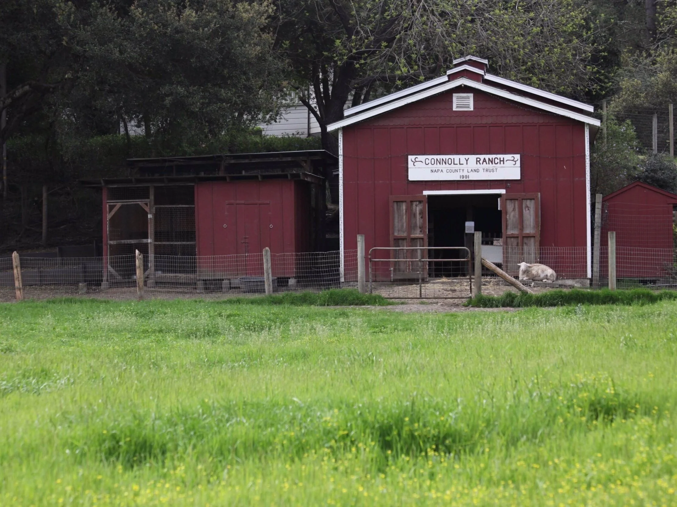 Camps — Connolly Ranch