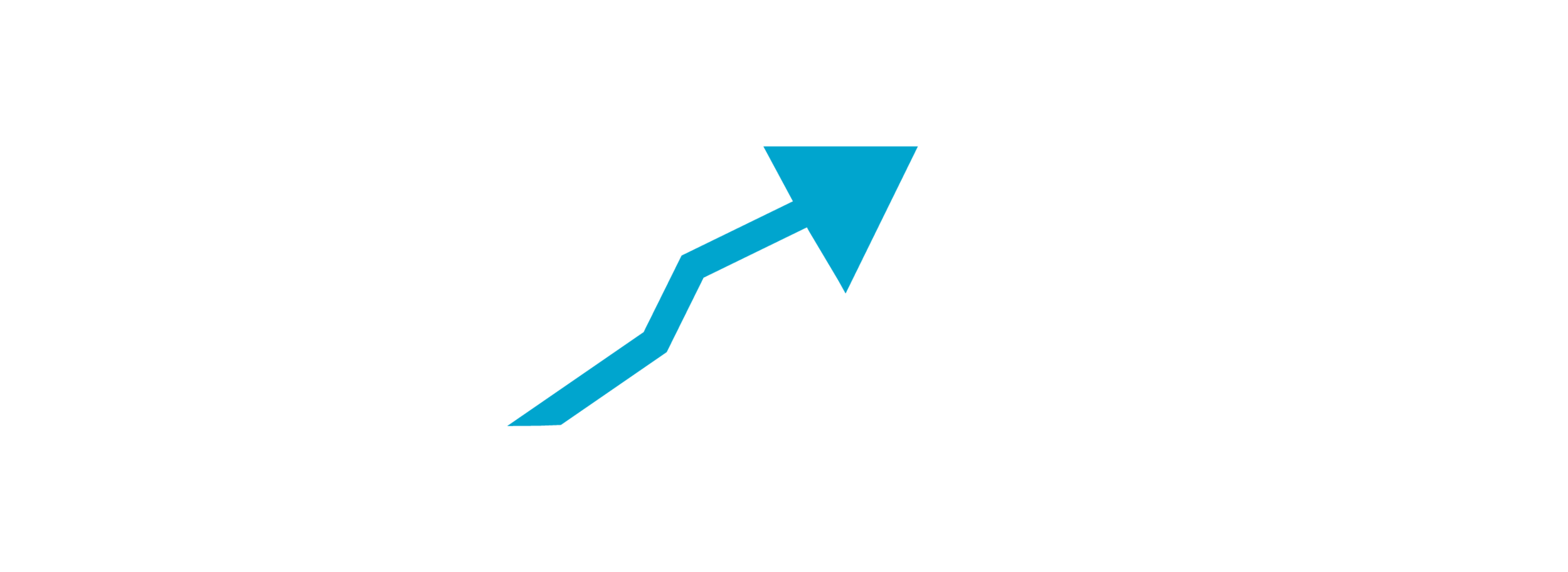 Israel Investment Advisors