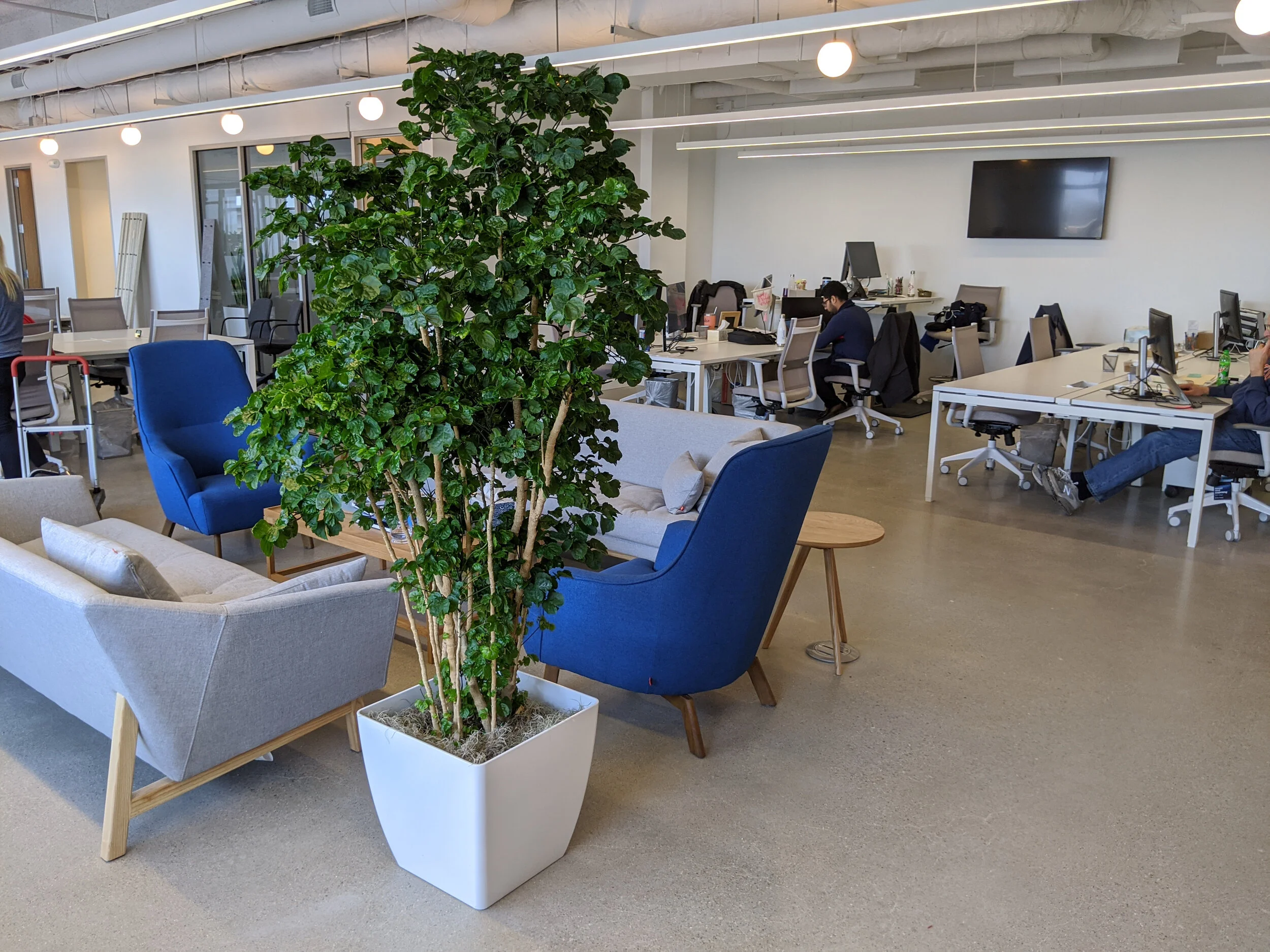 Chicago Office Plant Service, Rental &amp; Maintenance