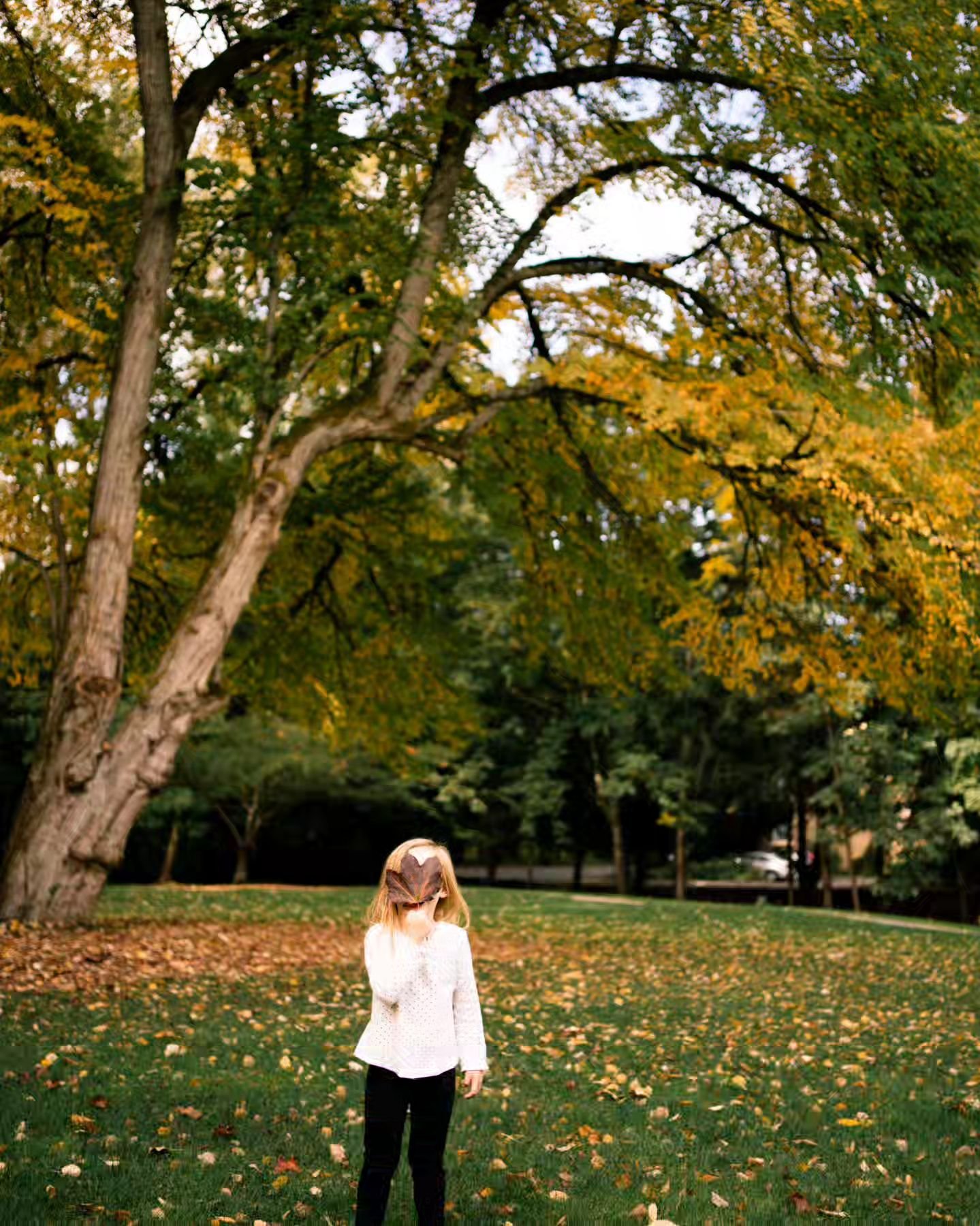 This Autumn is all about embracing the natural flow of the season. There is a sense of peace, and slowness, yet creativity and action.

Summer for me was a time for inspiration. We took adventures, took notes, captured photos, and most importantly, s