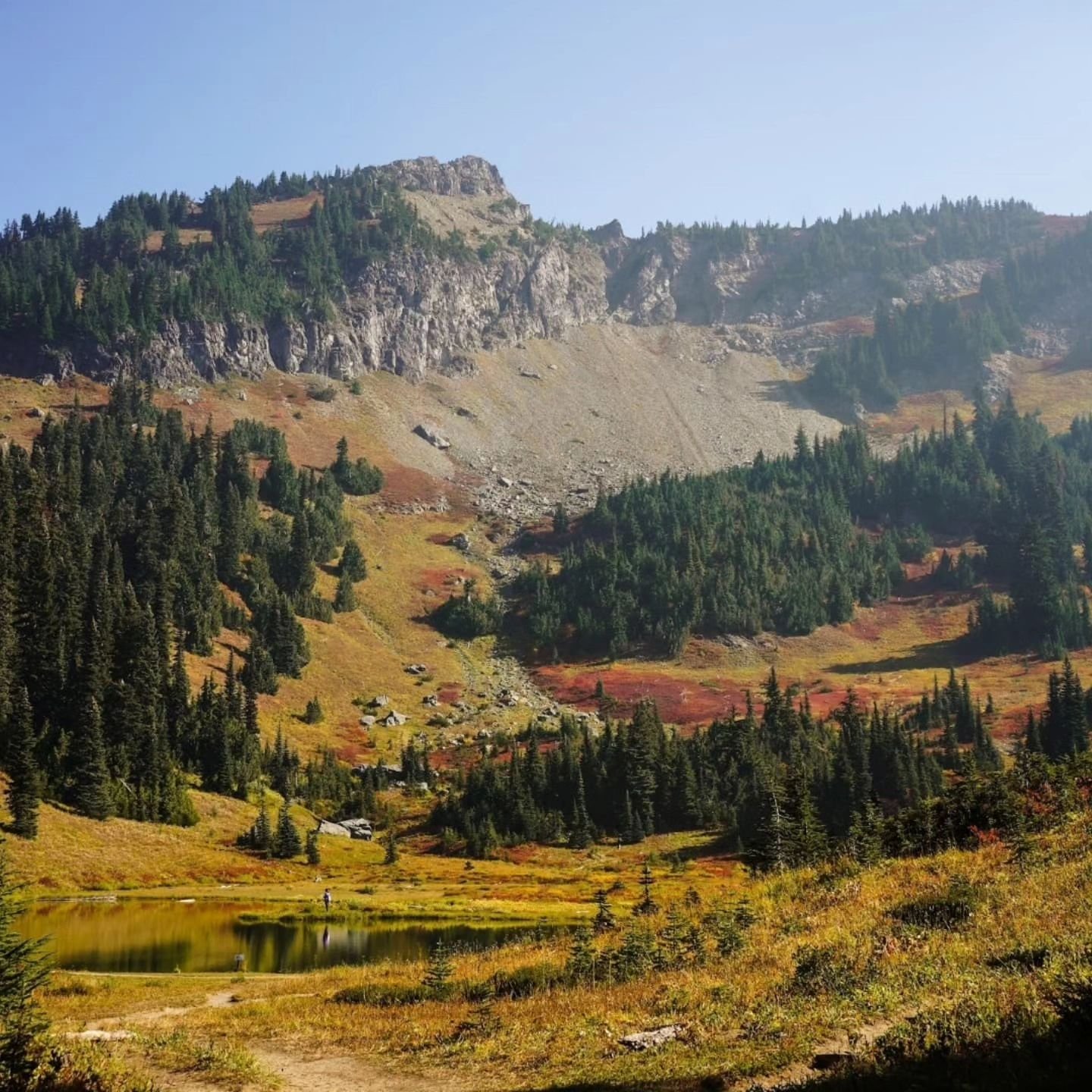 Autumn in the mountains is something special ✨️

#wa #autumnmountains #fallvibes #naturephotographer #pnwphotographer