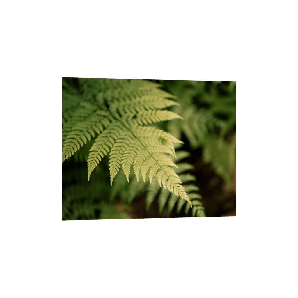 ptq_1_6_500_0_5000_4000_0_false_ffffff_0_0_.png