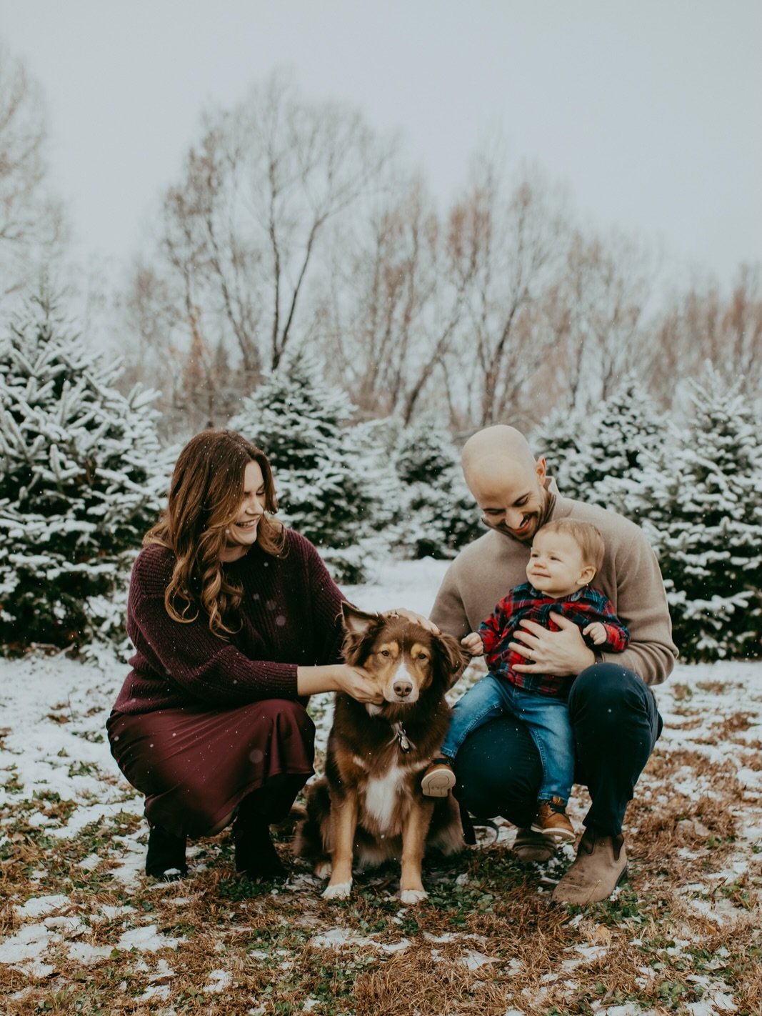 ✨ Another magical day at the Christmas tree farm ✨
The last time I had snowfall during minis was back in 2022 and this weekend felt exactly like stepping into a snow globe. A true winter wonderland ❄️

Huge shoutout to all my amazing clients who were
