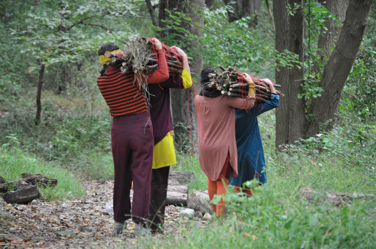 Cassie Meador in conversation with Artists and Climate Change