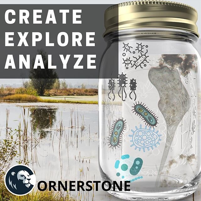 Check the link in Bio for more details.
#microbiology #STEAM #distancelearning #christianeducation #basaltcolorado #roaringforkvalley