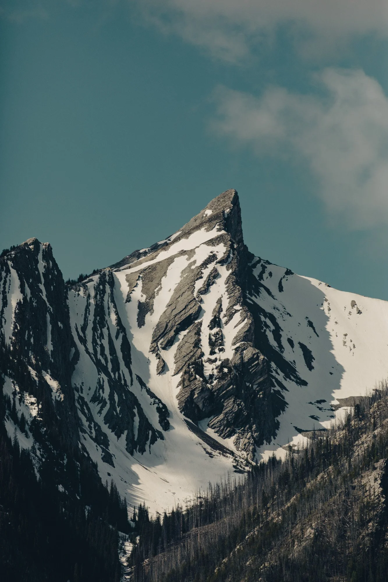 _MG_8358.jpg