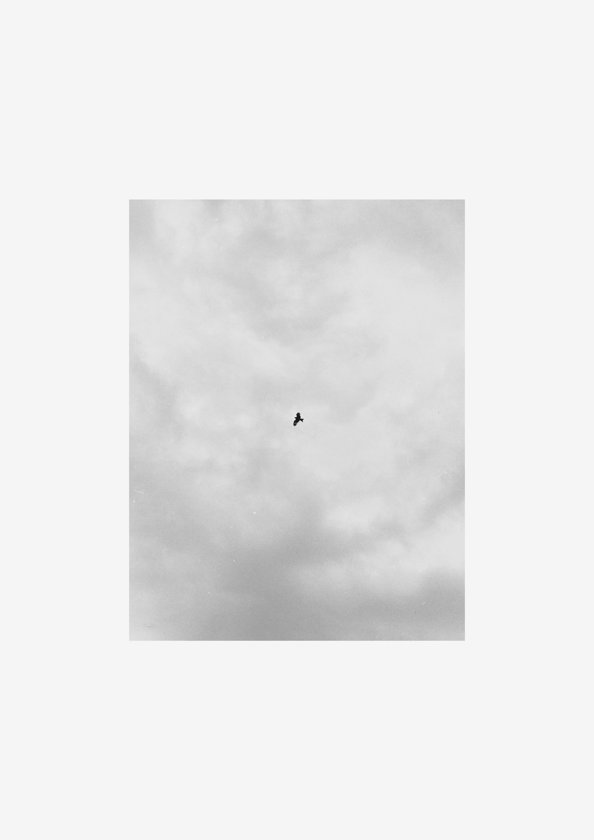 Untitled-15.jpg