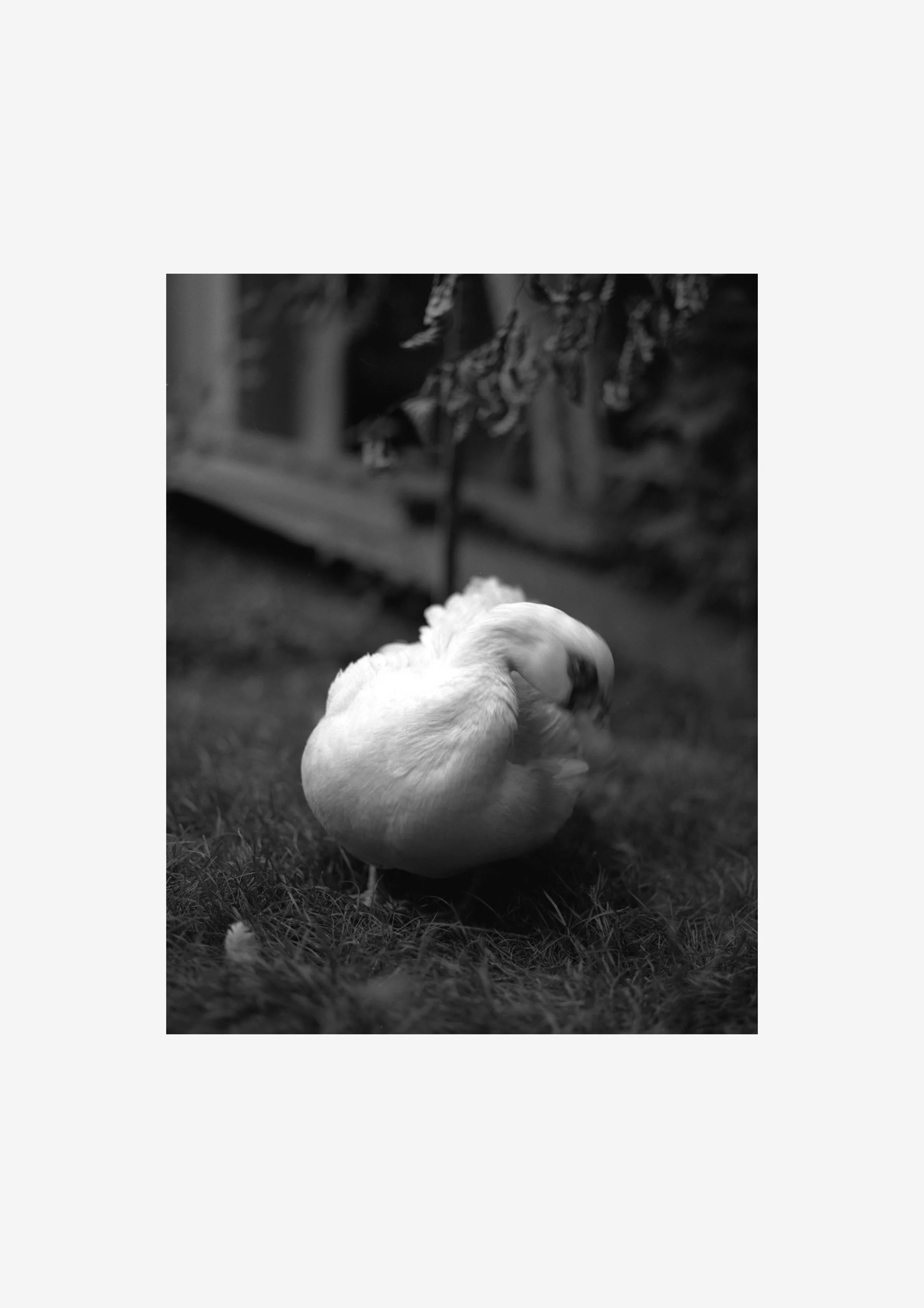 Untitled-1.jpg