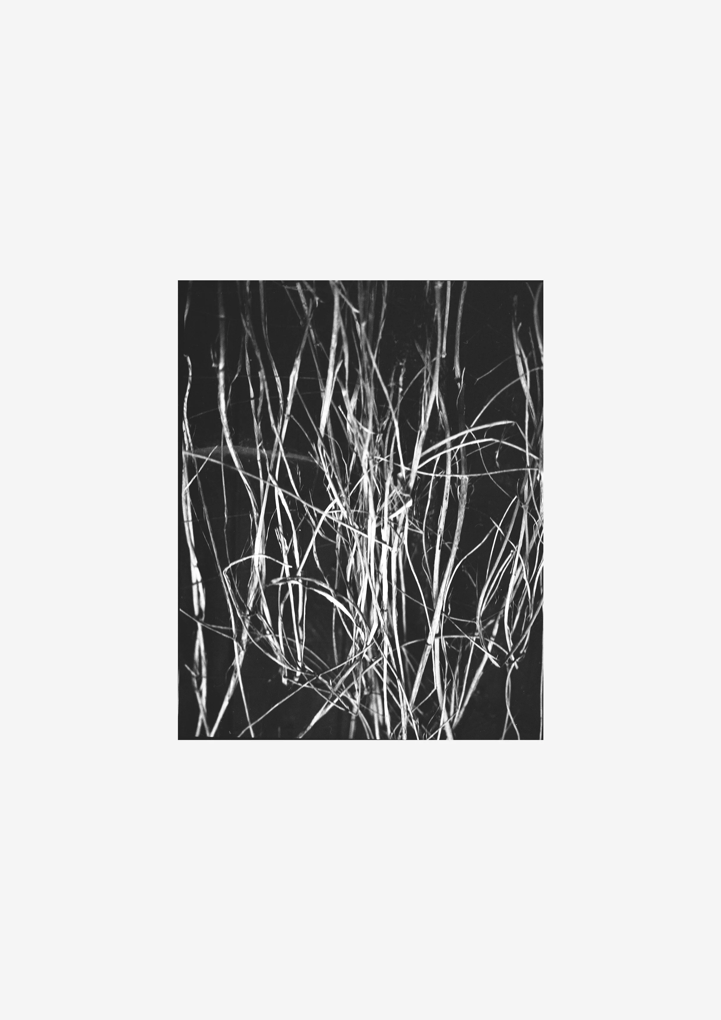 Untitled-14.jpg