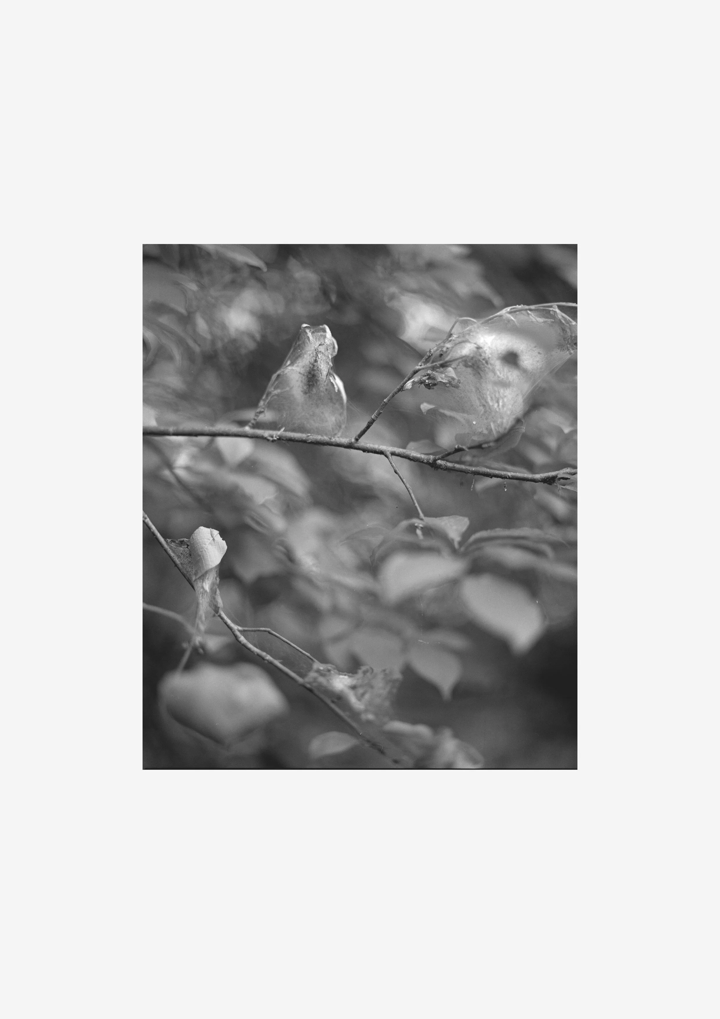 Untitled-16.jpg