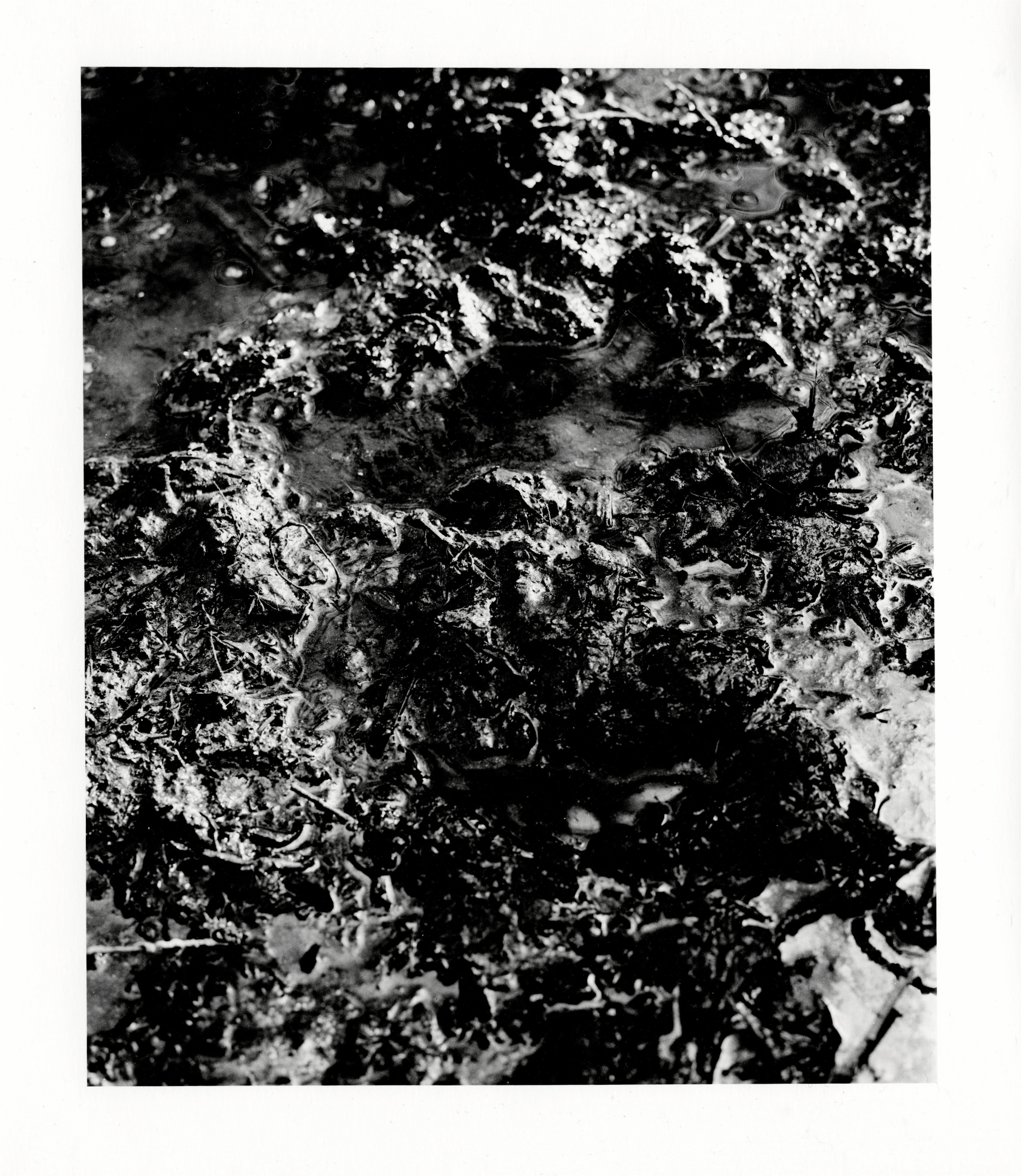 238-239 compressed.png
